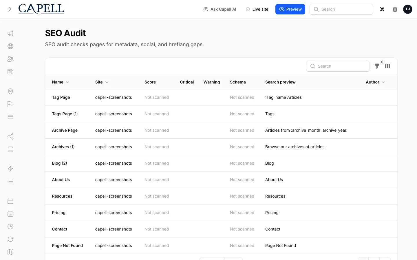 Capell SEO audit page