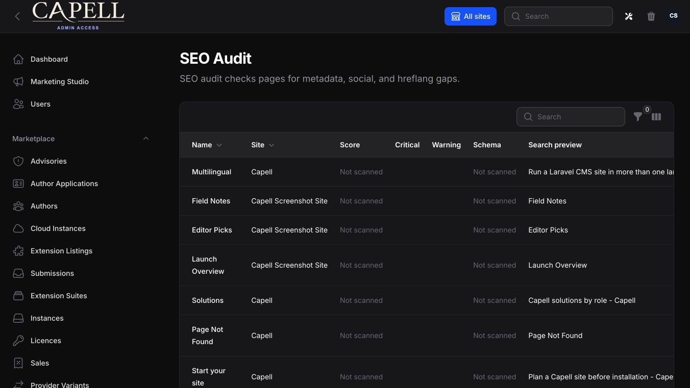 SEO audit page